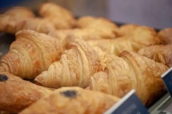 مستحلبات مخبز Good Fluency Bakery مستحلبات الخبز 25 كجم / كرتون GB2760