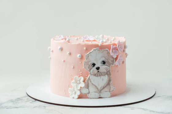 SP Cake محسن جل كوشير Certificaterd مستحلب الكيك يطيل العمر الافتراضي للطعم