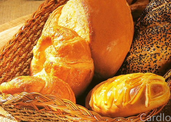 ISO 22000 20 كجم / مكونات محسن الخبز دلو